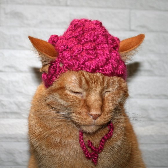HAND CRAFTED Raspberry Beret Fruit Cat Hat Crochet Wig Costume Photo Prop - Picture 4 of 12